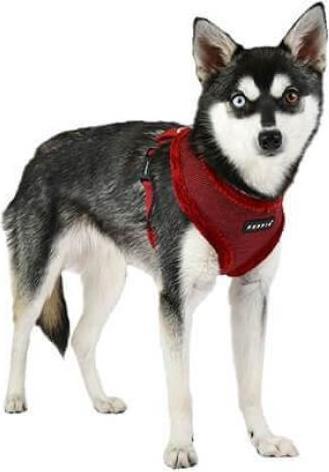 Actual product image Puppia Puppytooth Harness Red XL (XL, Dog)
