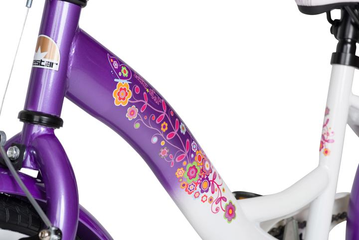 Image du produit Bikestar Classic (20")