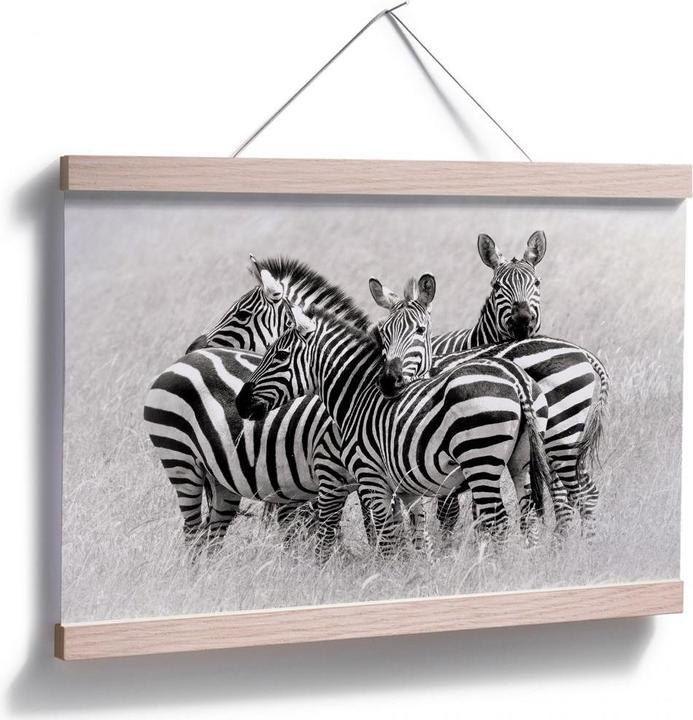 Actual product image Trenddeko Trubitsyn - zebras in the savannah (100 x 70 cm)