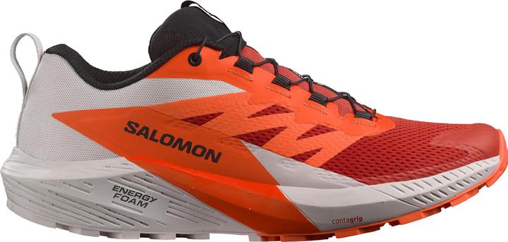 Produktbild Salomon Sense Ride 5 (46 2/3)