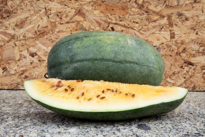 Produktbild Zollinger Bio Wassermelone, Sibirisches Gold (Keimlinge)