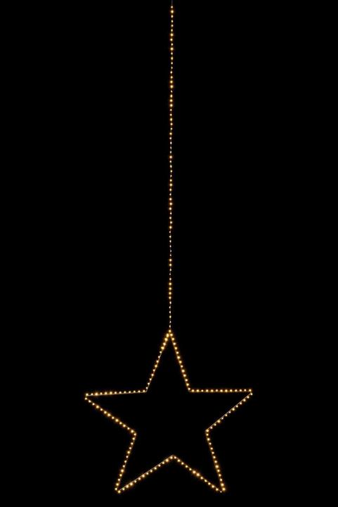Immagine prodotto STT Stella d'angelo