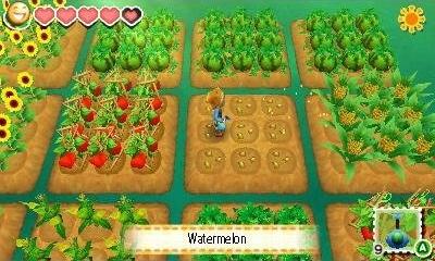 Produktbild Nintendo Story of Seasons: Trio of Towns (3DS, DE)