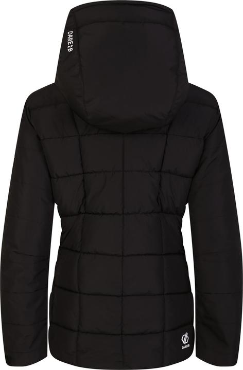 Actual product image Dare2b Womens/Ladies Blindside Ski Jacket (34 D)