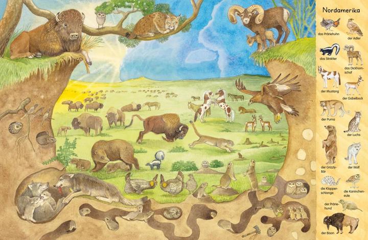 Actual product image My first hidden object book: animals from all over the world (German)