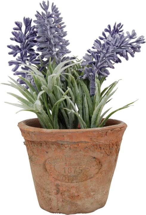 Esschert Design AH009 (15.50 cm)