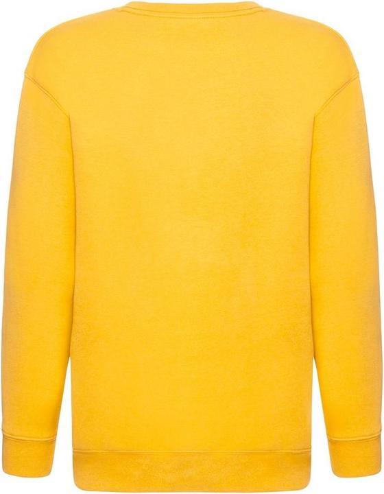 Produktbild Fruit of the Loom Pullover Premium 7030 (2 StückPackung) (122)