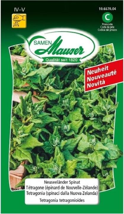 Actual product image Samen Mauser New Zealand spinach seeds (Vegetable seeds)