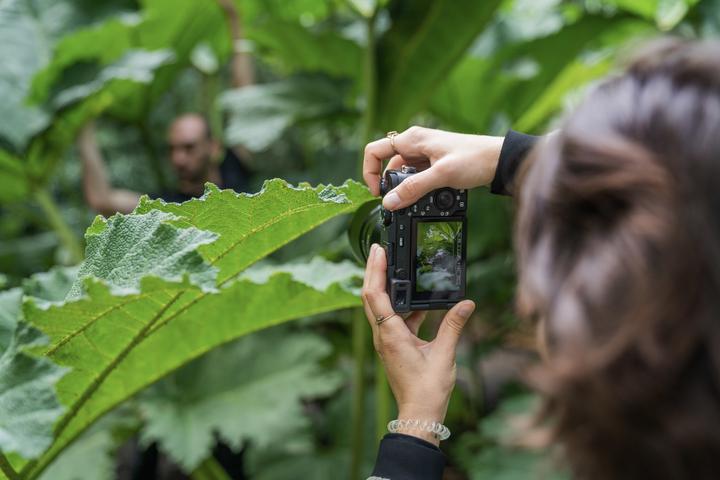 Actual product image Sony Alpha 7C R (61 Mpx, Full frame)