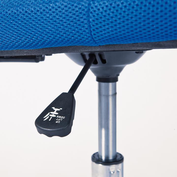 Actual product image Inter Link Bonnie