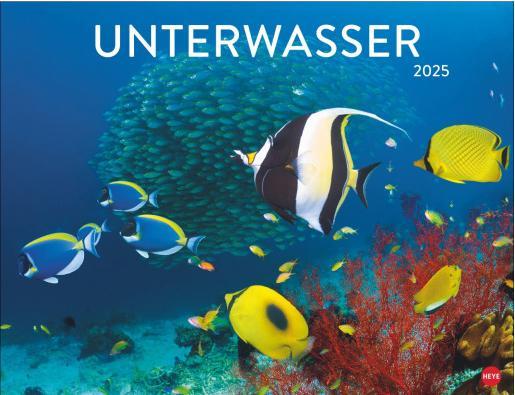 Produktbild Unterwasser Posterkalender 2025 (44 x 34 cm, Deutsch)