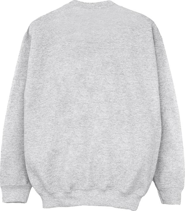 Image du produit Disney - Sweat ENCANTO LOGO - Fille (152, 158)