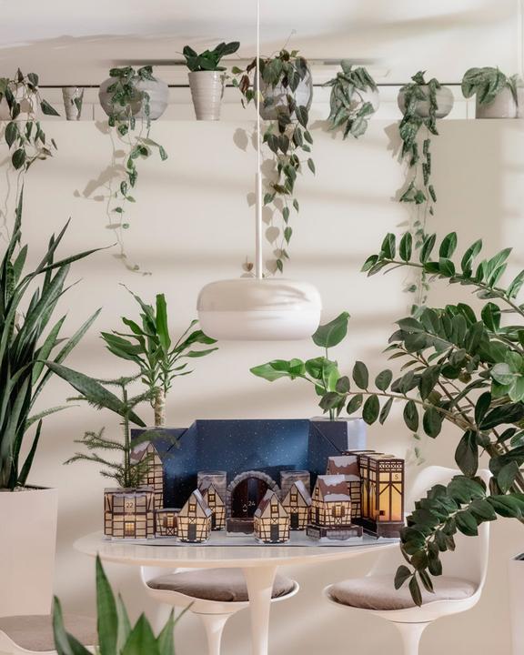 Produktbild feey Pflanzen Adventskalender (60 cm)