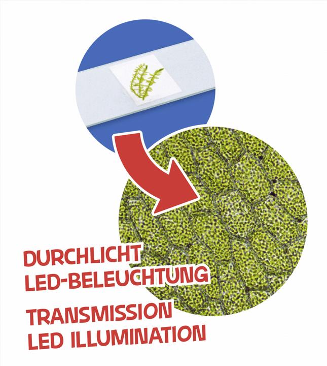 Produktbild Bresser Junior Mikroskop