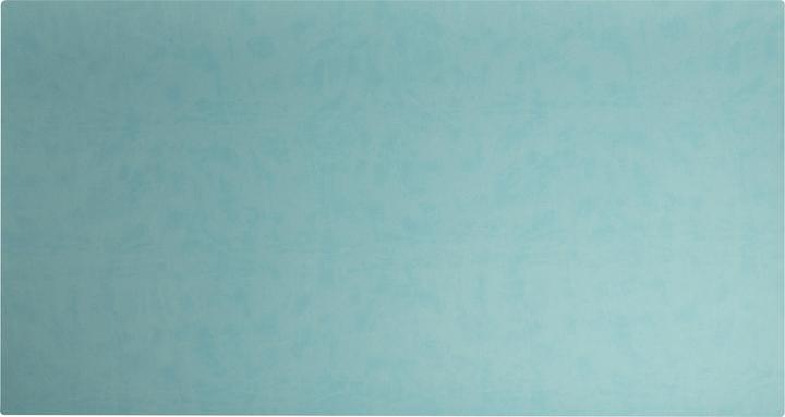 Actual product image Exacompta Desk pad (35 x 60 cm)