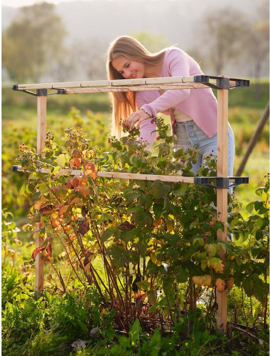Actual product image Gusta Garden Berry Buddy (93 cm, 11.90 cm)