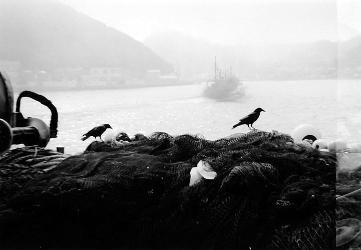 Immagine prodotto Lomo Costruttore F