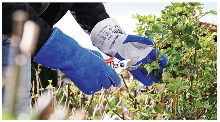 Produktbild Hase Safety Gloves Schweisserhandschuhe Mühlheim Blue Gr.10 Grösse 10 blau/grau (10)
