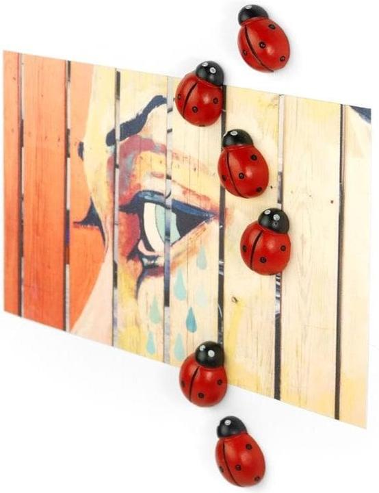 Produktbild Trendform Ladybug (6 x)