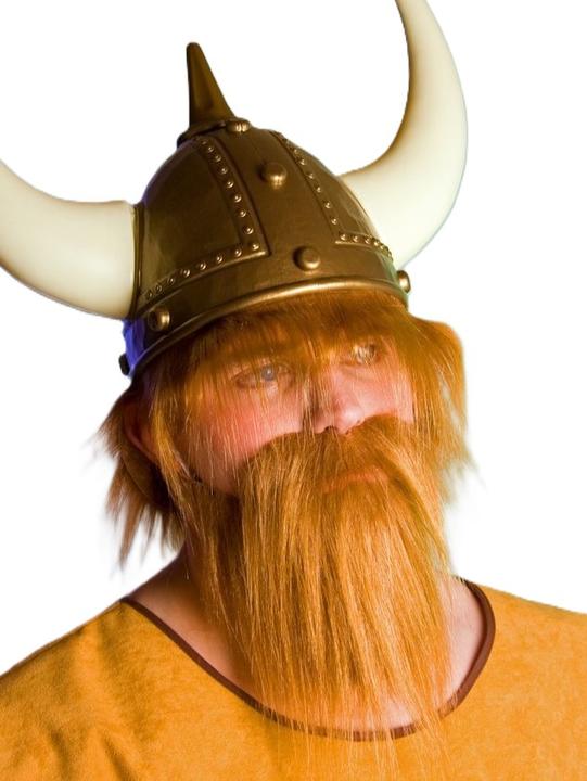 Actual product image Festartikel Müller Viking beard set