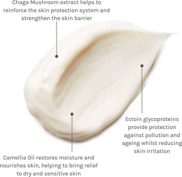 Immagine prodotto Evolve Organic Beauty Pelle sensibile Pro+ Ectoin Crema Lenitiva 60 ml (60 ml, Tonico per il viso)