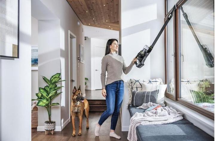 Actual product image Bissell ICON Pet Turbo 25V wireless handstick