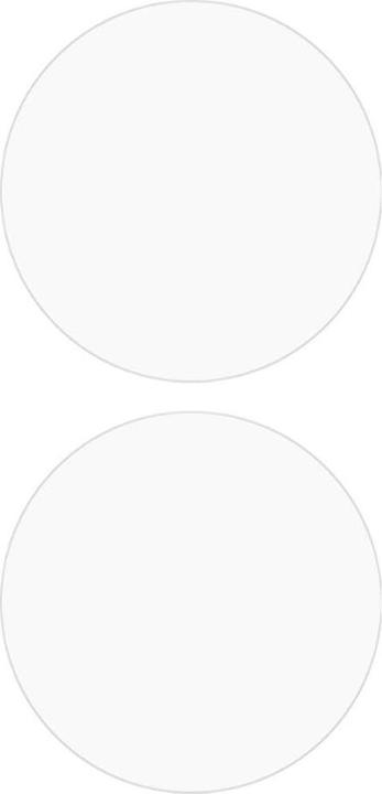 Image du produit Cover-Discount Google Pixel Watch 3 - 45mm - 2Stk. Display Schutzfolie PET