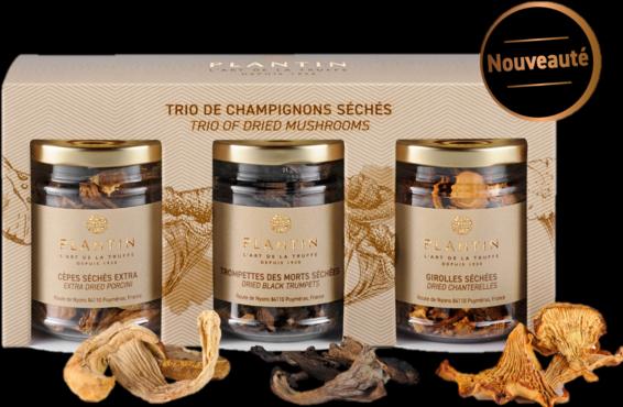 Image du produit Plantin Set de 3 champignons séchés (115 g)