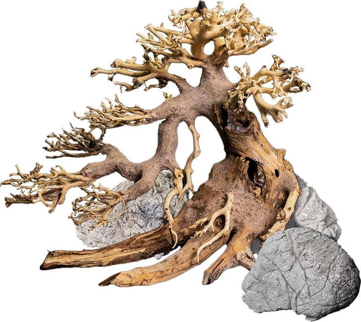 Immagine prodotto Dennerle Decorazione Bonsai Box (Decorazione, Albero)