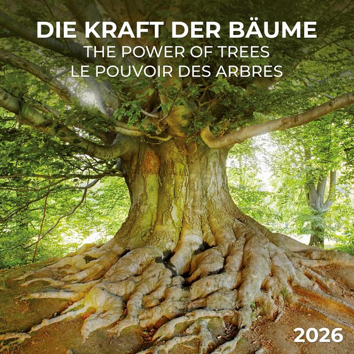 Produktbild Die Kraft der Bäume 2026 (30 x 30 cm, Harter Einband, Deutsch)