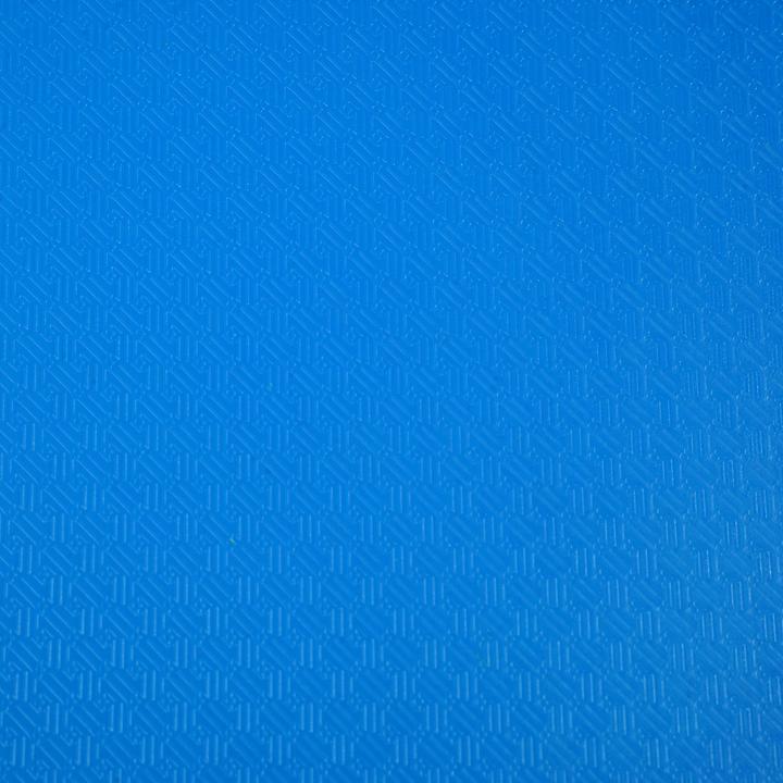 Actual product image Exacompta Display book PP pockets blue (A4, 1 x)