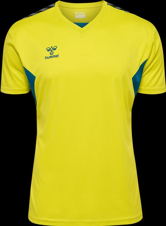 Image du produit hummel Hmlauthentic Pl Jersey S/S (XL)