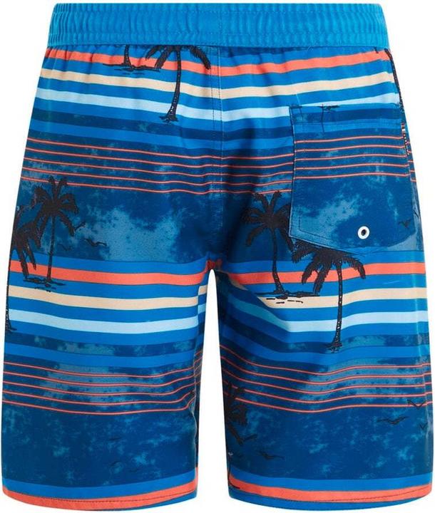Actual product image Protest Kid's Prtjason Beachshort (128)