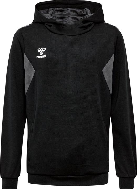 Image du produit hummel Hmlauthentic Pl Hoodie Kids (164)