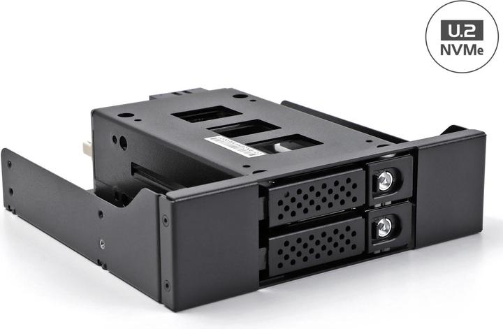 Delock Slim Bay Wechselrahmen für 2 x 2.5? U.2 NVMe SSD mit 5.25? Rahmen
