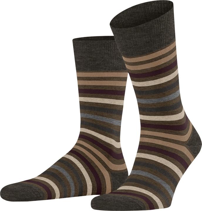 Falke Tinted Stripe