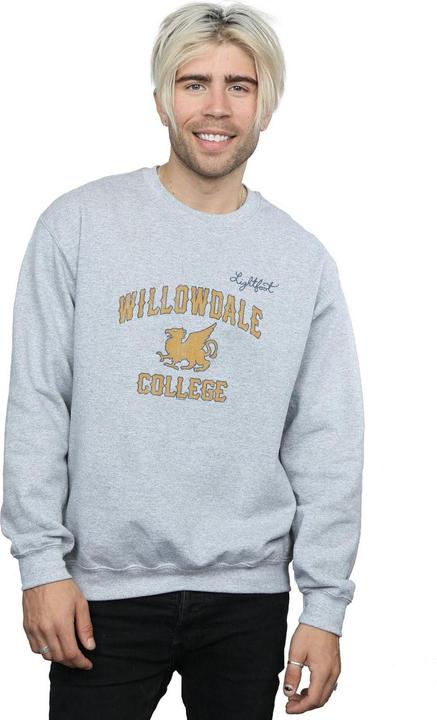 Image du produit Disney - Sweat ONWARD WILLOWDALE COLLEGE - Homme (L)
