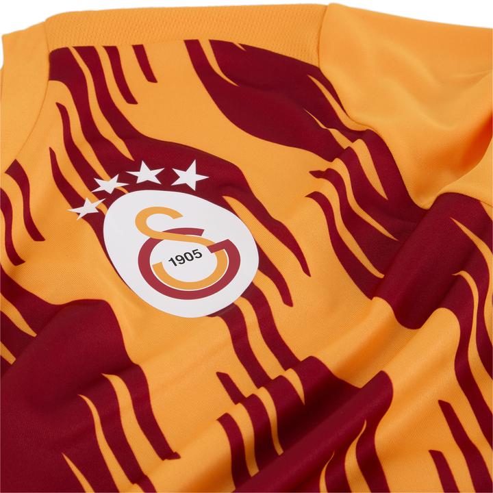 Image du produit Puma GSK Prematch SS Jersey (XL)