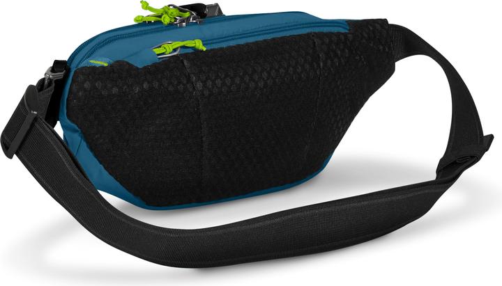 Actual product image Pacsafe ECO anti-theft belt bag RFID 36 cm