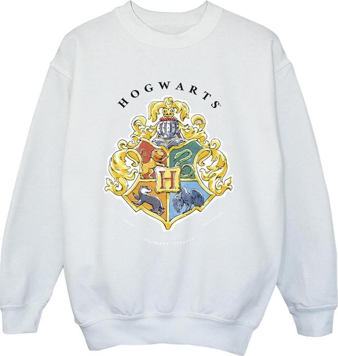 Hogwarts School Emblem Sweatshirt Jungen