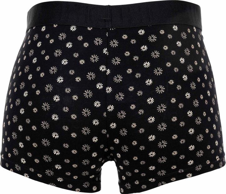 Image du produit HOM Boxer Briefs HO1 Joan #2 2P (L, lot de 2)
