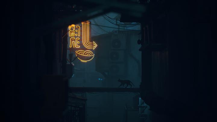 Actual product image Annapurna Interactive Stray (PS5, EN)