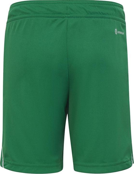 Actual product image adidas Tiro 23 training shorts kids (116)