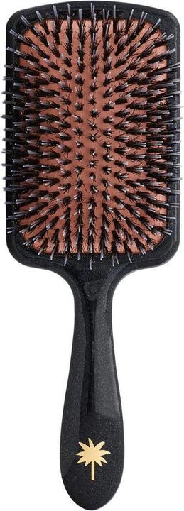 Actual product image Fan Palm - Paddle Brush Large Big Star