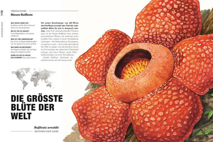 Produktbild Kuriose Pflanzen (Deutsch, Michael Perry, Reinhard Ferstl, DK Verlag, 2023)