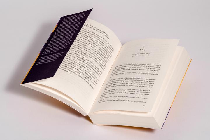 Image du produit Wildhonig (Allemand, Jennifer Finney Boylan, Jodi Picoult, 2024)