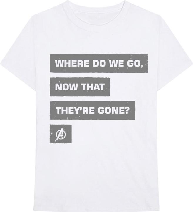 Actual product image Marvel Avengers Now That Theyre Gone (XL)