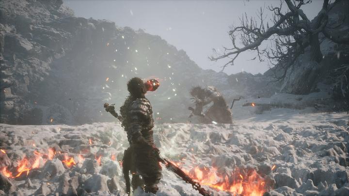Actual product image 2K Games Black Myth: Wukong (PS5, EN)