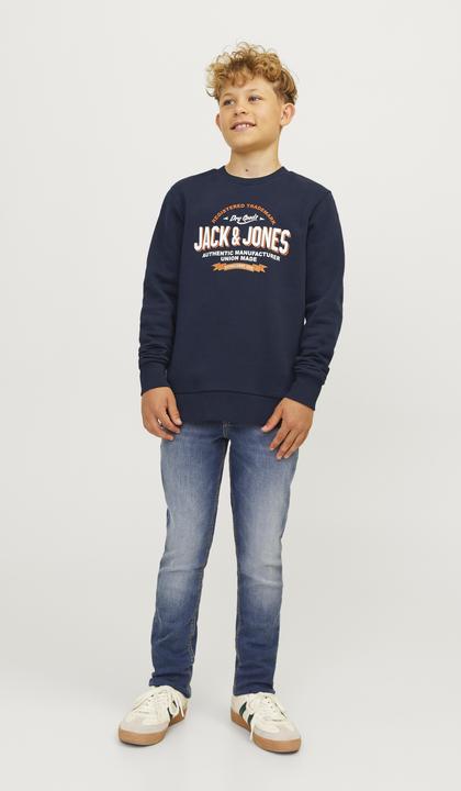 Actual product image Jack & Jones JJELOGO SWEAT CREW 2 COL 24/25 NOOS MNI (98)