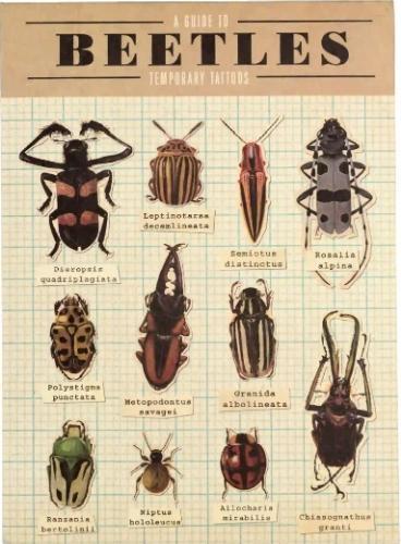 Produktbild Rex London Temporary Tattoos Beetles